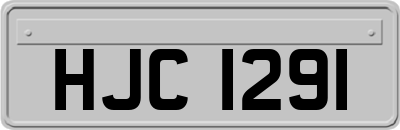HJC1291
