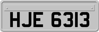 HJE6313