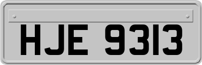 HJE9313
