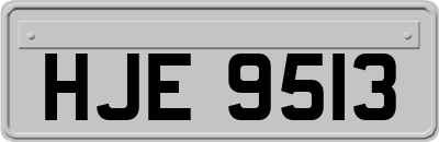HJE9513