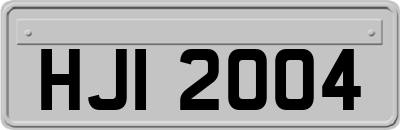 HJI2004