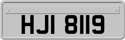 HJI8119