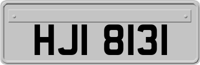 HJI8131
