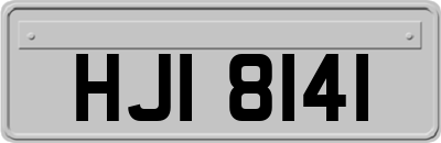 HJI8141