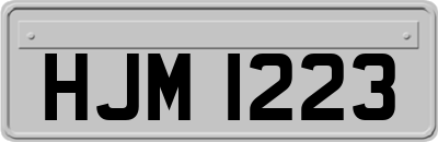 HJM1223