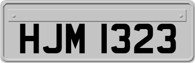 HJM1323