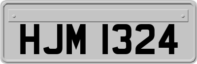 HJM1324