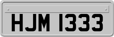 HJM1333
