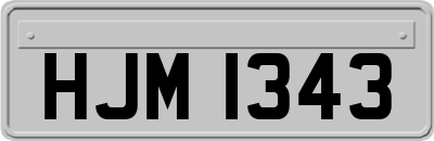 HJM1343
