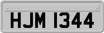 HJM1344