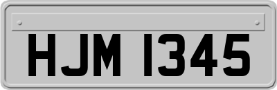 HJM1345