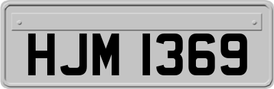 HJM1369