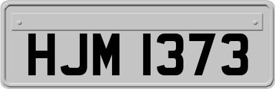 HJM1373