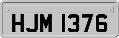 HJM1376