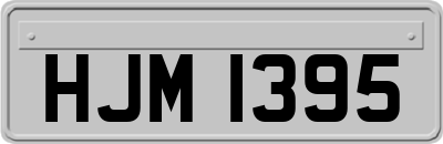 HJM1395