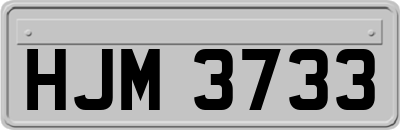 HJM3733