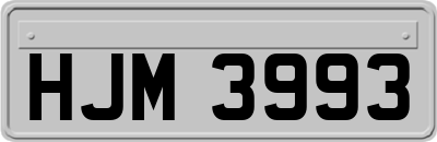 HJM3993