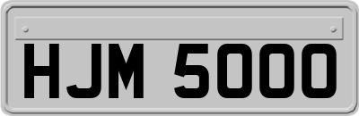 HJM5000