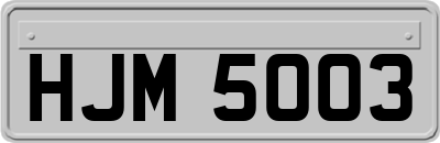 HJM5003