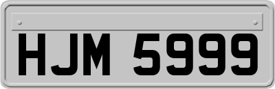 HJM5999