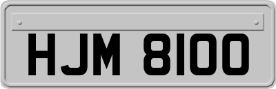 HJM8100