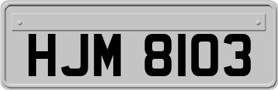 HJM8103
