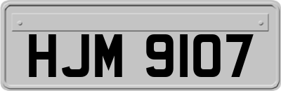 HJM9107