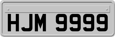 HJM9999
