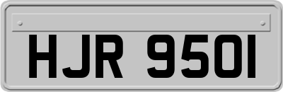 HJR9501