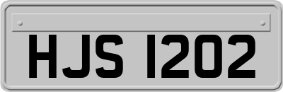HJS1202