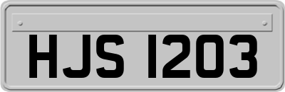 HJS1203