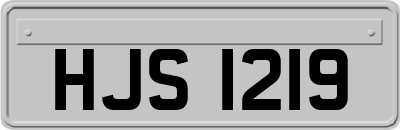 HJS1219