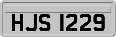 HJS1229