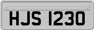 HJS1230