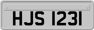 HJS1231