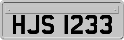 HJS1233