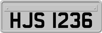 HJS1236