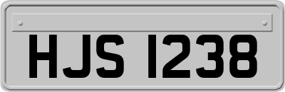 HJS1238