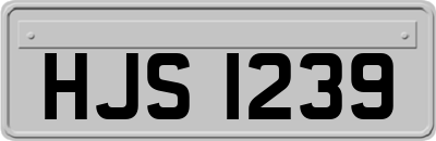 HJS1239