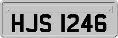 HJS1246