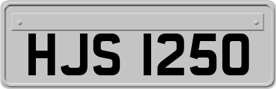 HJS1250