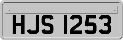 HJS1253