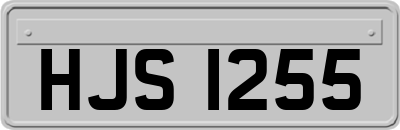 HJS1255
