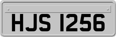 HJS1256