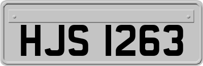 HJS1263