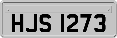 HJS1273