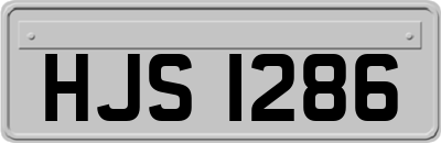 HJS1286