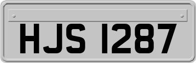 HJS1287