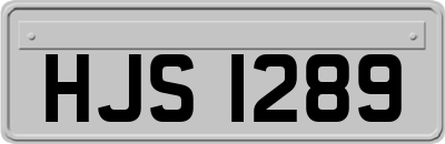 HJS1289