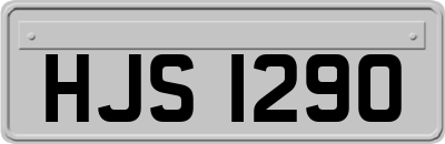 HJS1290